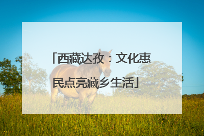 西藏达孜：文化惠民点亮藏乡生活